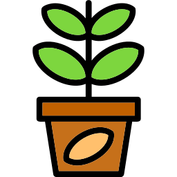 plante de jade Icône