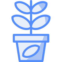 Jade plant icon