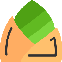 Bamboo shoot icon