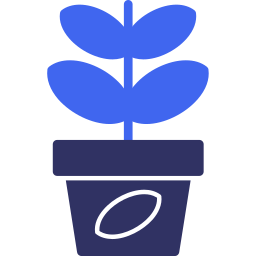 planta de jade Ícone