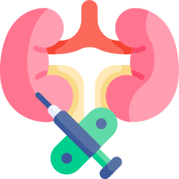 Kidney biopsy icon