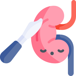 Kidney surgery icon
