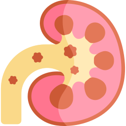 Kidney stone icon