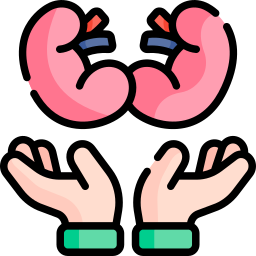 World kidney day icon