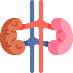 Kidney failure icon