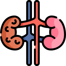 falência renal Ícone