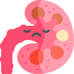 pyelonephritis icon