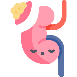 Nephrectomy icon