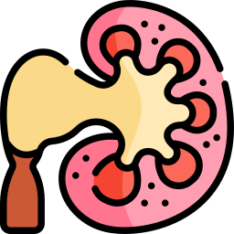 水腎症 icon