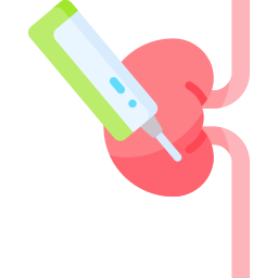腎生検 icon