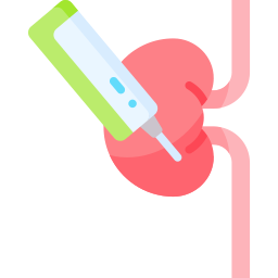 biopsia de riñón icono