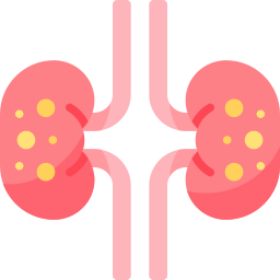 腎臓結石 icon