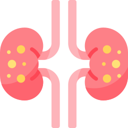 calcul rénal Icône
