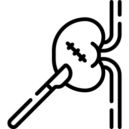 cirurgia renal Ícone