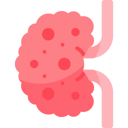 polycysteus icoon