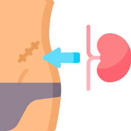 腎臓移植 icon