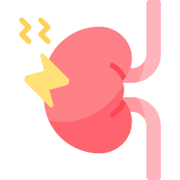 Kidney inflammation icon