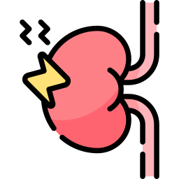 inflamación del riñón icono