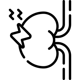 inflamação renal Ícone