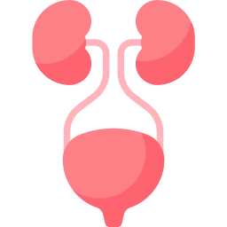 urologie icoon