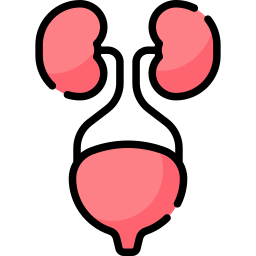 urología icono