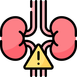 Kidney icon