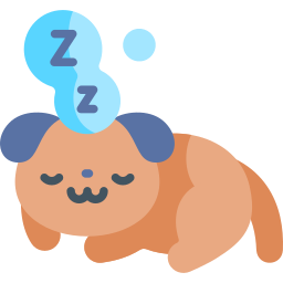 sonno del cane icona