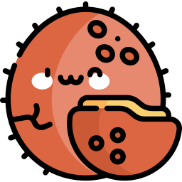 Coconut icon