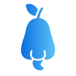 カシューアップル icon