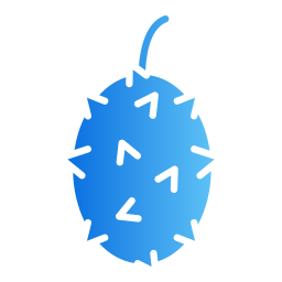 Kiwano icon