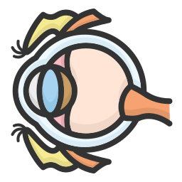 anatomía del ojo humano. icono