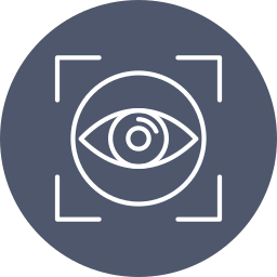 Vision icon