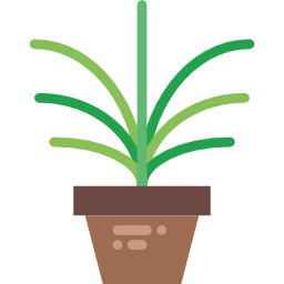 pflanze icon