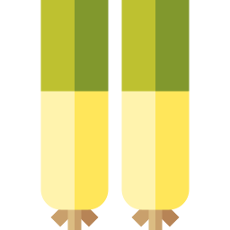 Leek icon