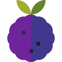 Blackberry icon