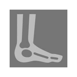 Bones icon