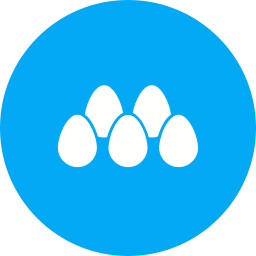 Arranged eggs icon