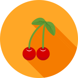 Fruit icon