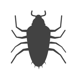 insecte Icône