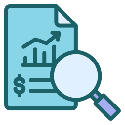 Financial audit icon