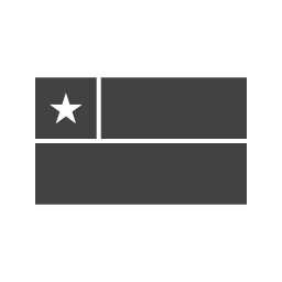 flagge icon