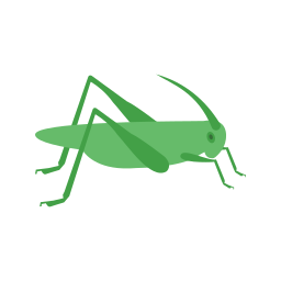 Insect icon