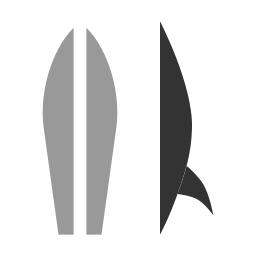 Surfing board icon
