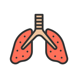Pulmonary health icon