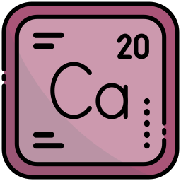 calcium Icône