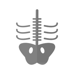 뼈 icon