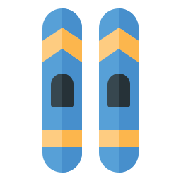 Skis icon