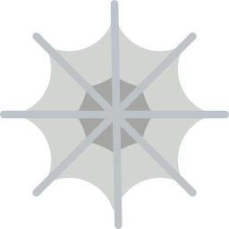 Spider web icon