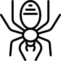 Spider icon