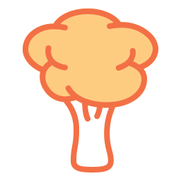 Brócoli icono
